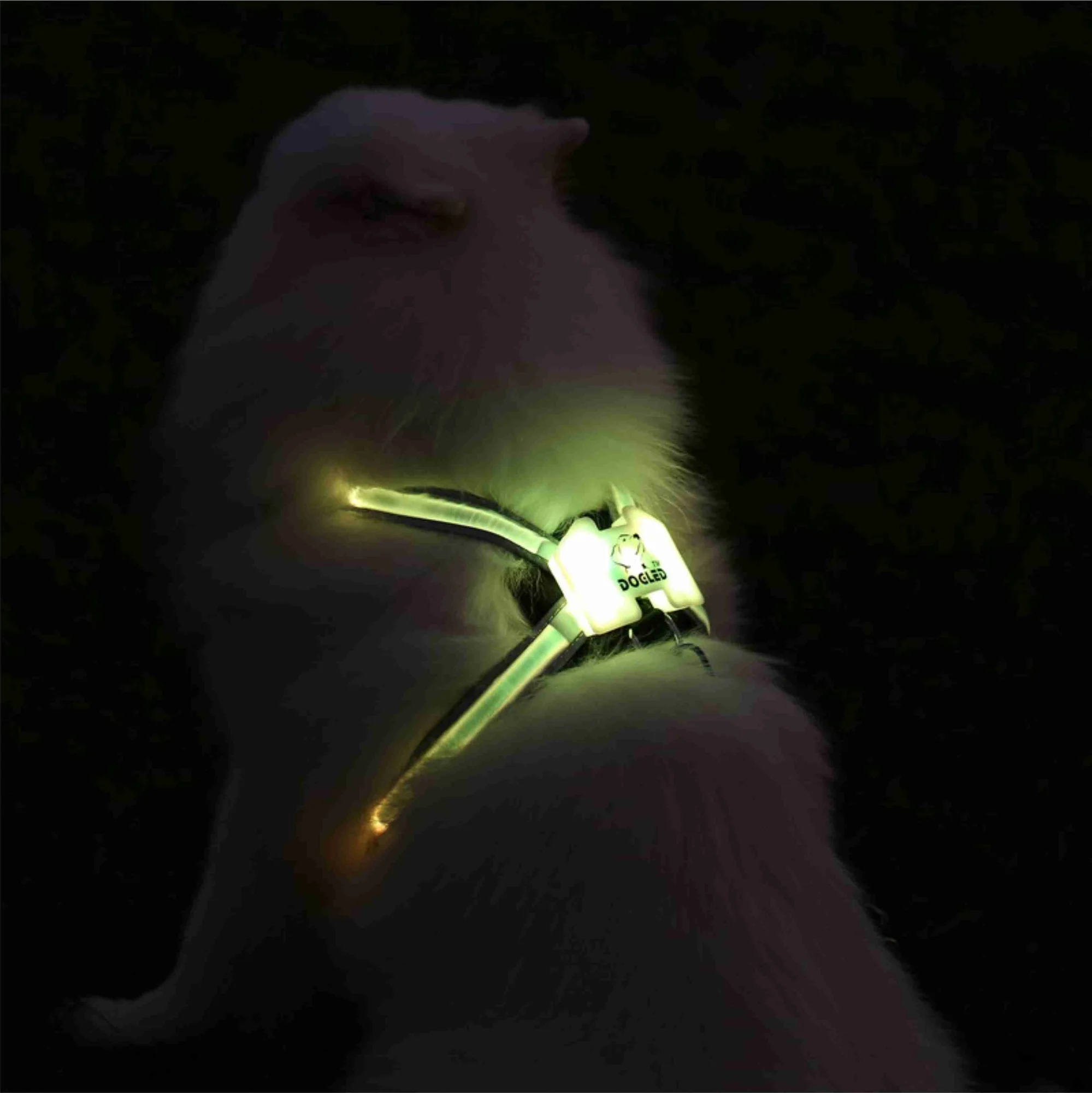 Câinele led rgb guler pentru câini de talie mare Reflectorizante Cablajului Inclusiv Multicolore LED Fibra Imagine 2