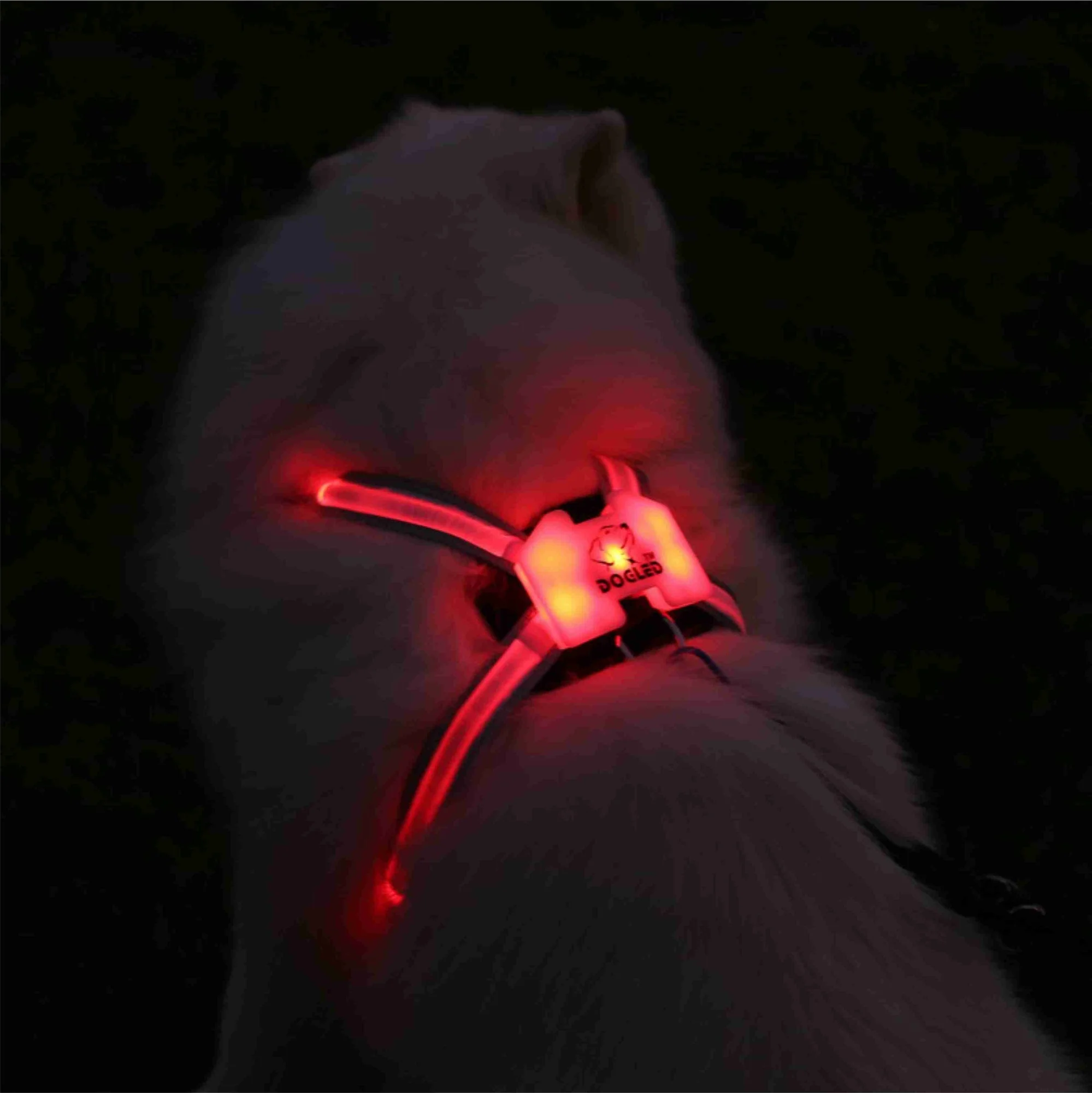 Câinele led rgb guler pentru câini de talie mare Reflectorizante Cablajului Inclusiv Multicolore LED Fibra Imagine 4