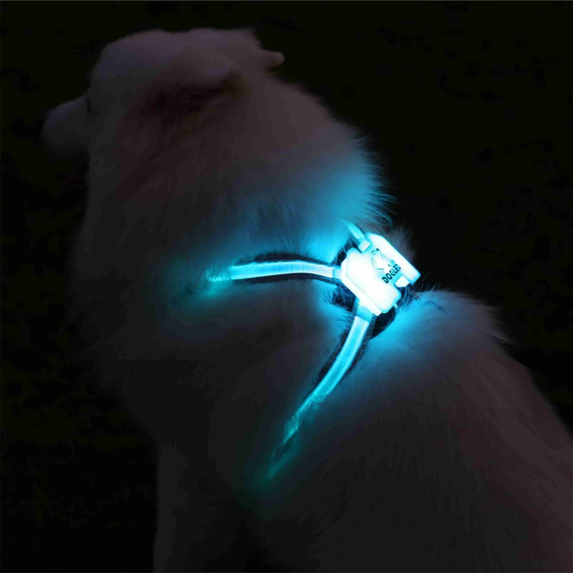 Câinele led rgb guler pentru câini de talie mare Reflectorizante Cablajului Inclusiv Multicolore LED Fibra Imagine 5
