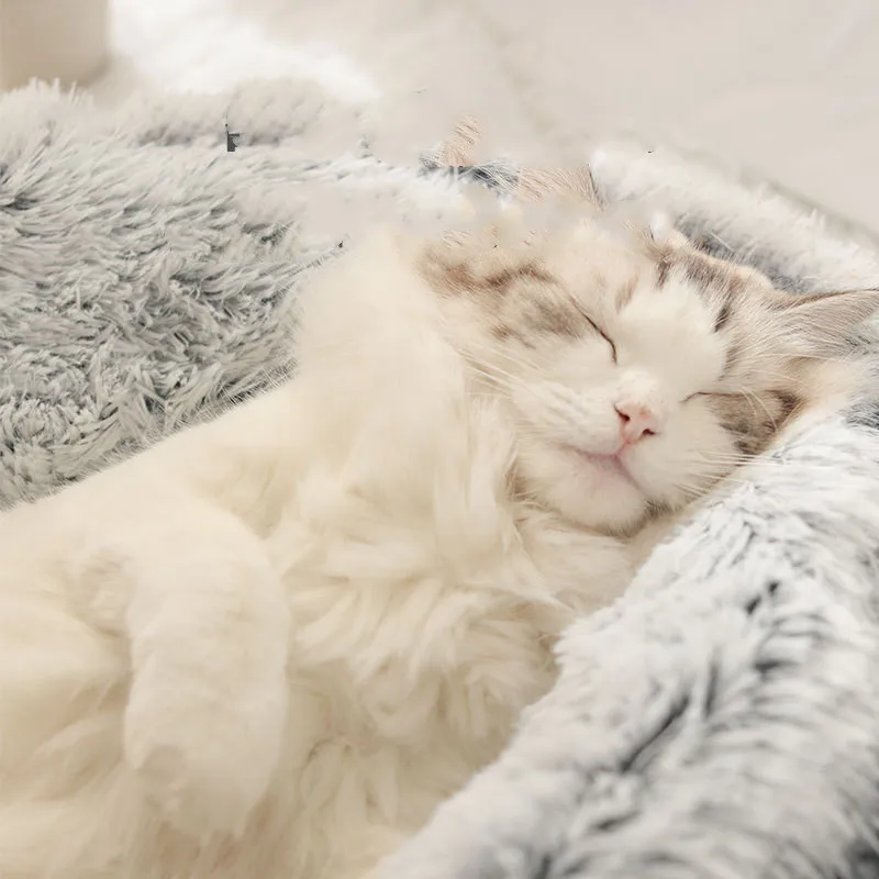 Nou stil de pluș canisa, cristal de catifea caldura, rotund, jumătate de pachet de pisici, somn adânc de pluș rotund canisa, confortabil și cald Imagine 4