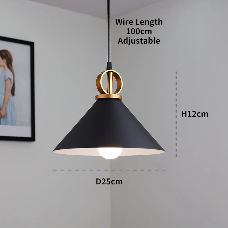 Nordic Luminile LED pentru Iluminat Camera de zi Moderne, Decor Acasă Lumini Sala de Mese Agățat Lămpi de Interior Bucătărie Corpuri de iluminat Imagine 4